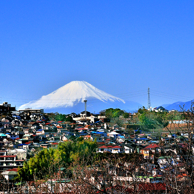 弘明寺公園より富士山